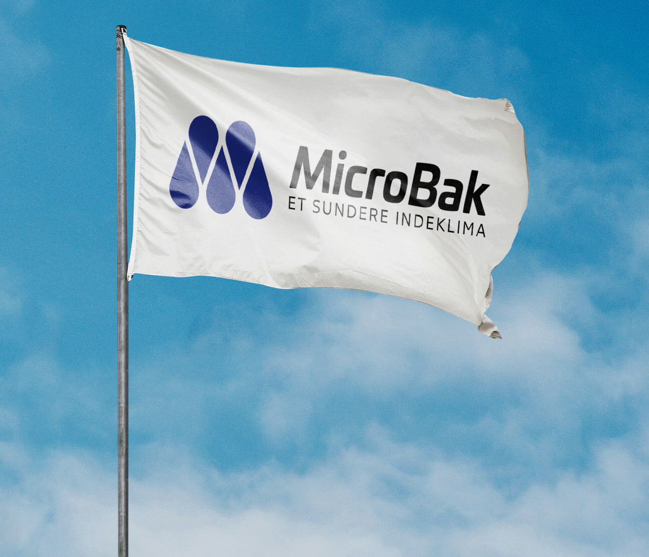 MicroBak flag